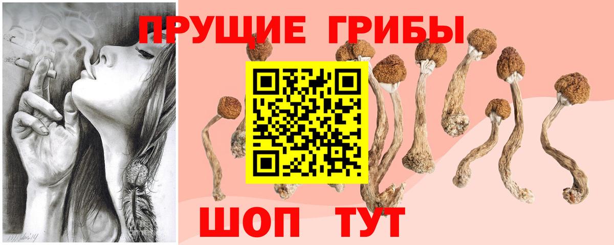 Полысаево  Галлюциногенные грибы ЛСД  Вход с VPN  Псилоцибиновые грибы GOLDEN TEACHER 